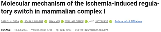 Science（IF=56.9）| 哺乳动物呼吸链复合体 I 缺血诱导调控开关的分子机制