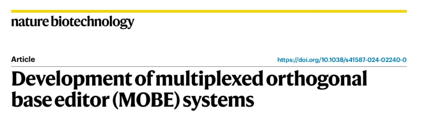Nature Biotechnology (IF=46.9)|突破性基因编辑技术！MOBE系统实现多重精准基因修复