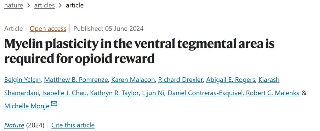 Nature（IF=64.8）| 驱动阿片类物质成瘾的髓鞘可塑性机制