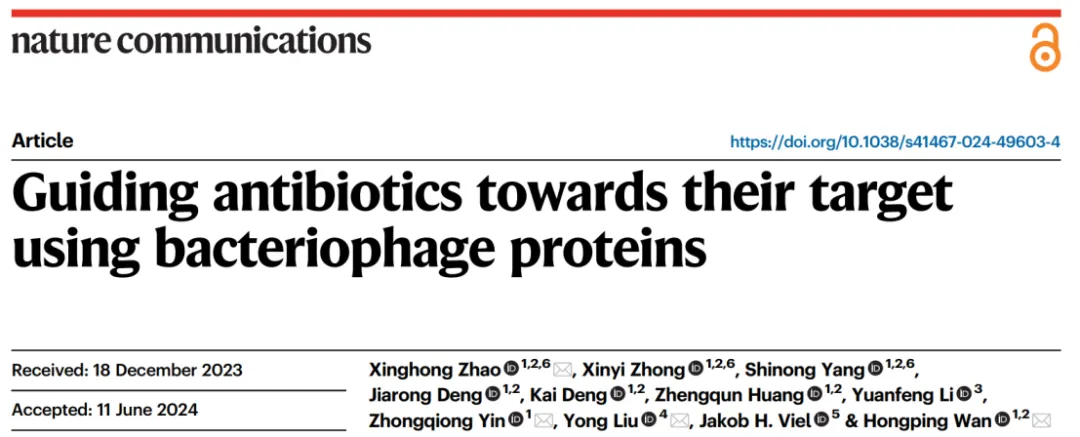 Nat Commun. （IF=14.7）丨四川农业大学开发：噬菌体蛋白引领的细菌靶向抗生素纳米递送系统