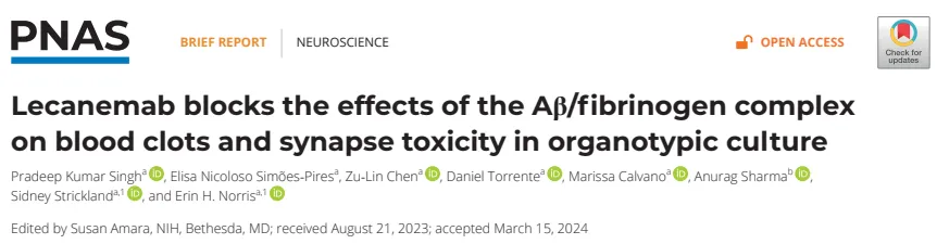 PNAS（IF=9.4）丨Lecanemab阻断Aβ/纤维蛋白原复合物对血栓和突触毒性的影响