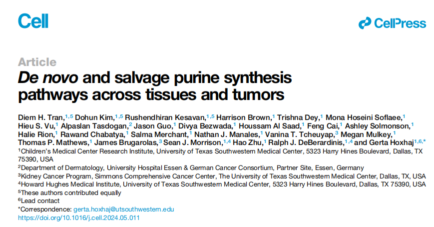 Cell（IF=64.5) | 代谢新见解，打破肿瘤中嘌呤来源的传统认知