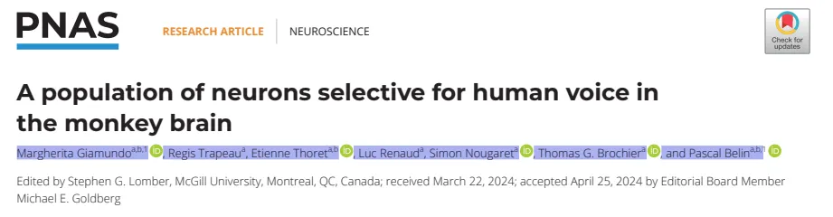 PNAS（IF=11.1）| 猴子大脑中存在专门处理人类声音的神经元